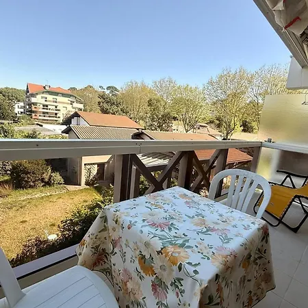 Apartment Arcachon: Proche Plages Avec Balcon Et Parking - Fr-1-433-136 Arcachon